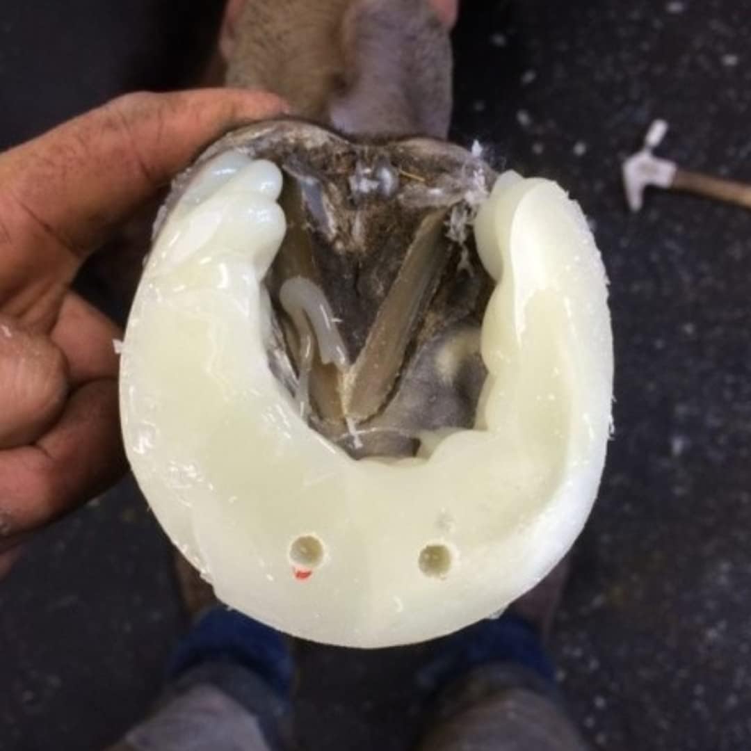 Equine Polyurethane Hoof Bond & Repair